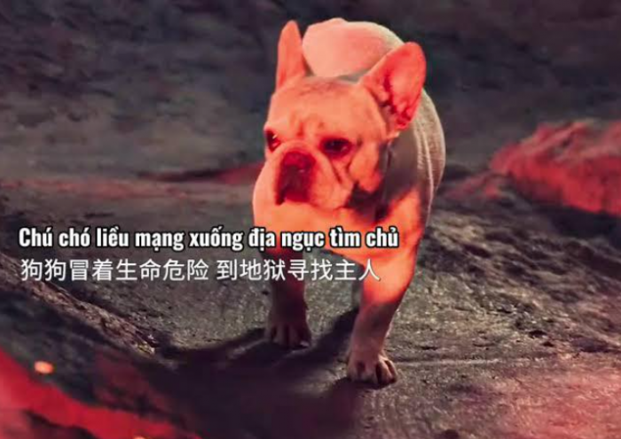 Bo-phim-han-dang-xem-nhat-2025-hieu-ro-tuong-tan-ve-cuoc-song-o-thien-duong-va-dia-nguc-4