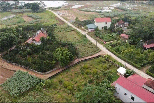 Ha-noi-vu-mot-ho-dan-bi-can-bo-yeu-cau-do-nha-moi-cho-chuyen-dat-trong-cay-lau-nam-sang-dat-o-2