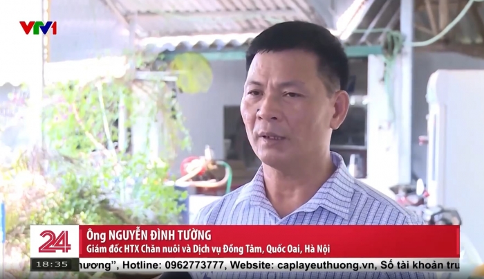 Netizen-xon-xao-khi-giam-doc-htx-chan-nuoi-trong-ban-tin-vtv-khang-dinh-100-khong-co-long-se-dieu-3