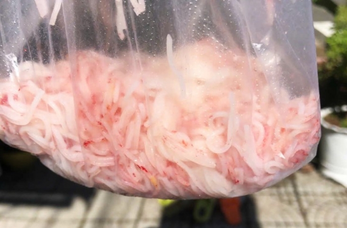 lanh-dao-tp-da-nang-thong-tin-nong-vu-bun-doi-mau-tu-trang-sang-do-tam-dung-1-co-so-san-xuat-bun