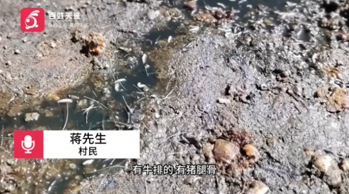 Nguoi-dan-soc-khi-phat-hien-nha-may-ep-dau-co-be-chua-day-gioi-chuot-gian-toi-non-ngay-tai-cho-5