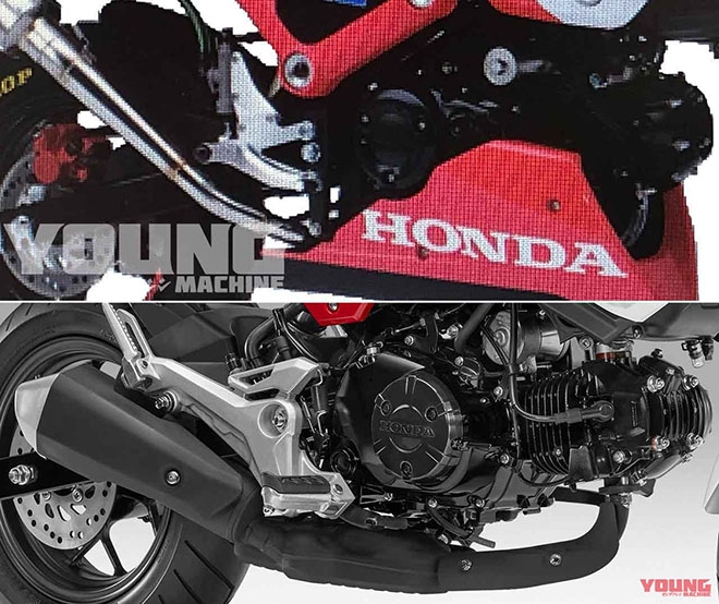 Honda MSX 125 2021 lộ diện với thiết kế độc đáo, gây sức ép khổng lồ lên Yamaha Exciter ảnh 2