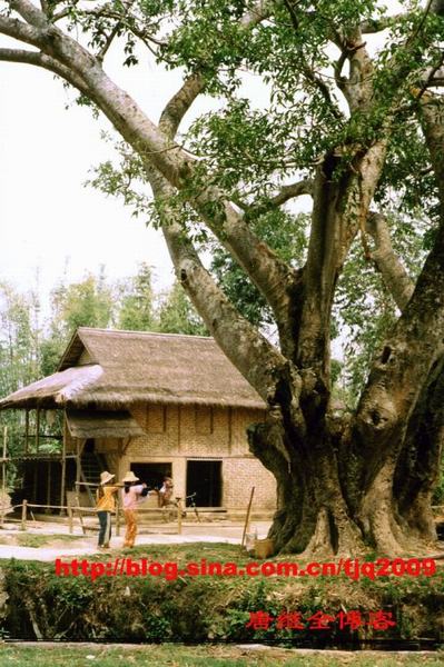 Giây phút kinh hoàng khiến cả đoàn làm phim Tây Du Ký 1986 suýt mất mạng ảnh 1