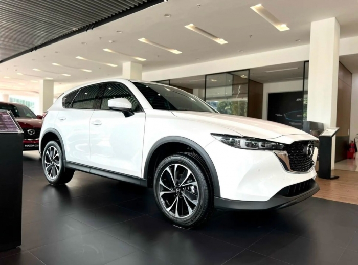 Gi&aacute; xăng dầu h&ocirc;m nay 29/8: Xăng E10 giảm về mức rất rẻ, RON 92 c&aacute;ch đ&aacute;y hơn 2.000 đồng, gi&aacute; lăn b&aacute;nh Mazda CX-5 ảnh 4