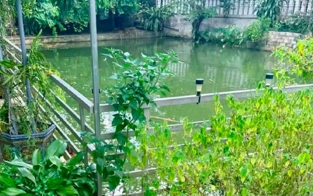 đuối 1s