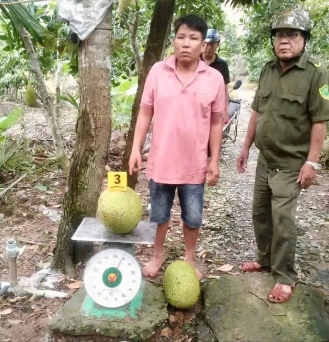 trom-mit-trongbai-rs