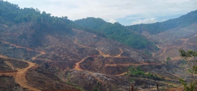 98-ha-rung-bi-xam-hai