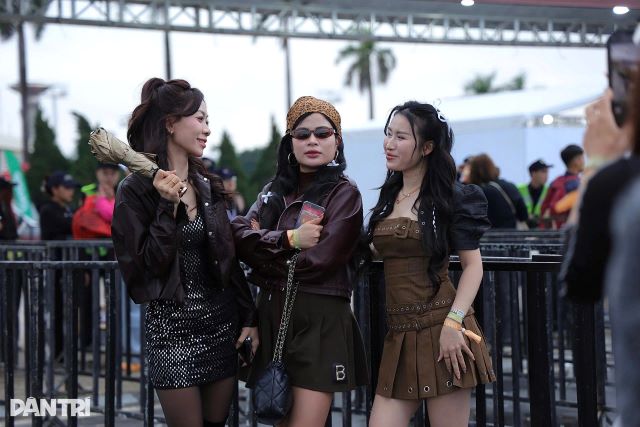 fan-xem-concert-my-tam