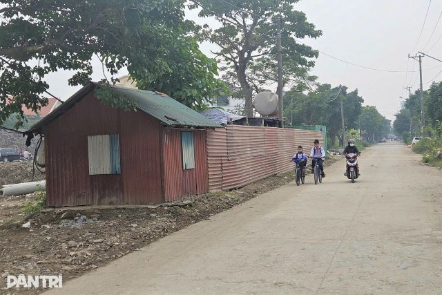 dung-lan-chiem-via-he