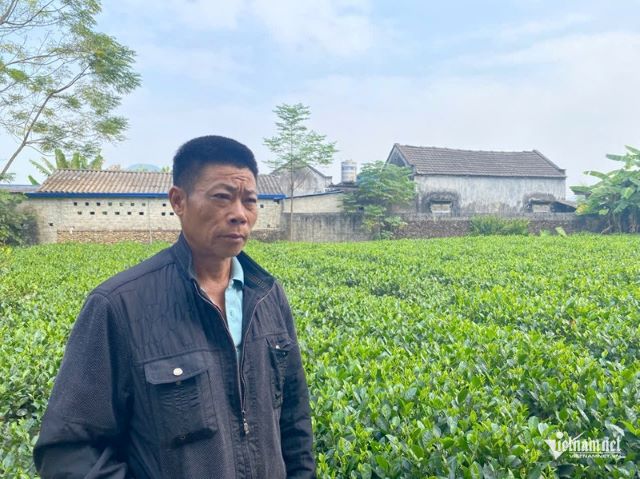 nguoi-dan-ong-boc-mo