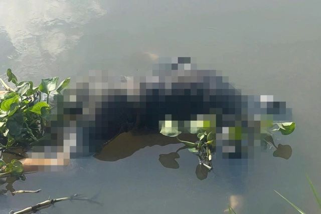 thi-the-nam-gioi-tren-song-sai-gon