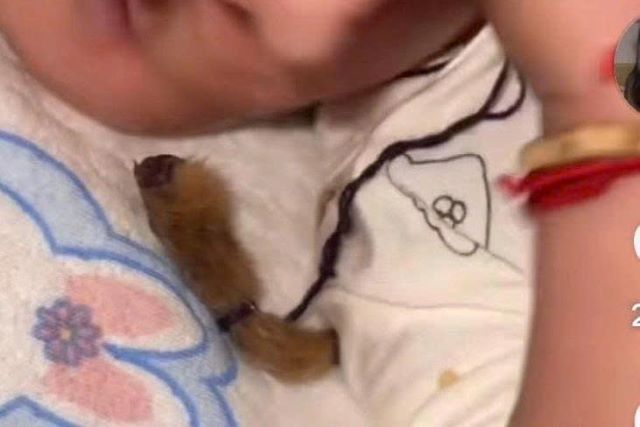 tay-khi-kho-day-long