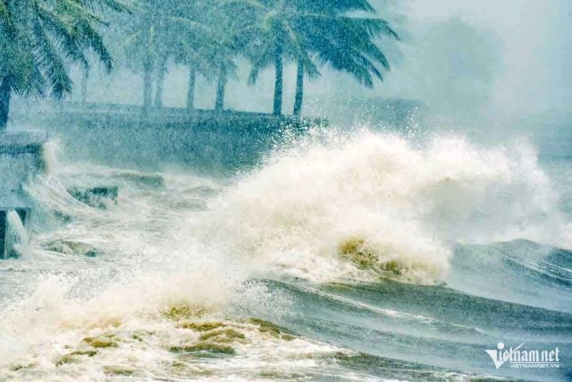 bao-song-thanh-hoa