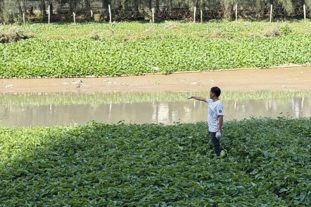 thi-the-nam-gioi-troi-rach-o-tphm