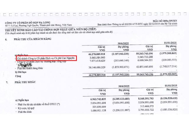bao-cao-tai-chinh-cong-ty-do-hop-ha-long
