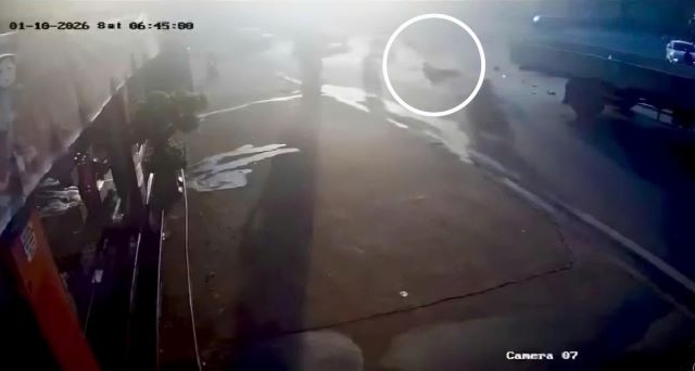 tai-nan-giao-thong-tphcm