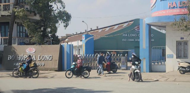 cong-nhan-cong-ty-do-hop-ha-long