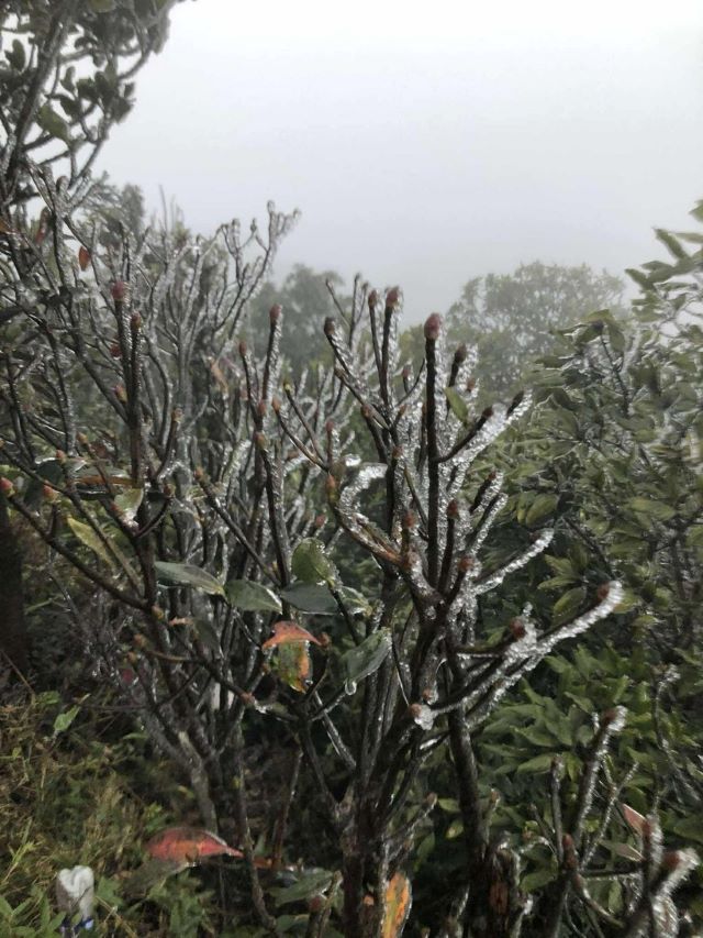 can-canh-lop-bang-gia-xuat-hien-tren-dinh-mau-son-2