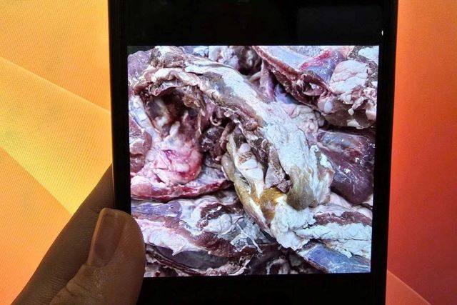 90kg-thit-lon-nghi-kem-chat-luong-o-truong-tieu-hoc-tphcm