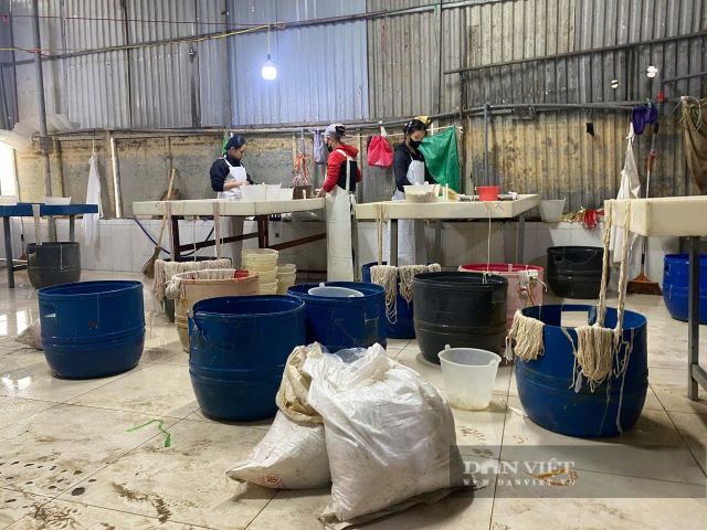 co-so-che-bien-long-lon-ban-o-bac-ninh