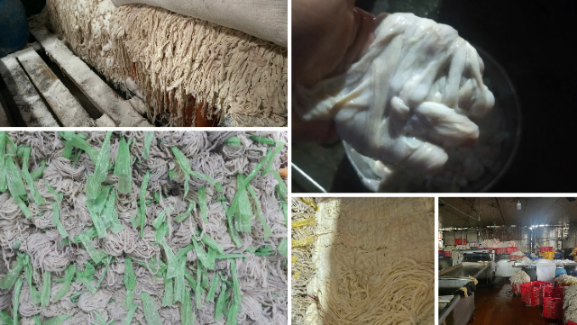 hinh-anh-ben-trong-co-so-che-bien-long-lon-o-bac-ninh