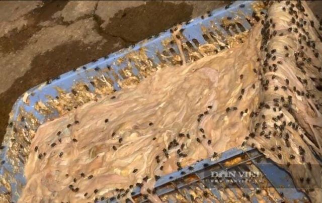 long-lon-co-dau-hieu-phan-huy-ruoi-nhang-bau-kin-o-bac-ninh