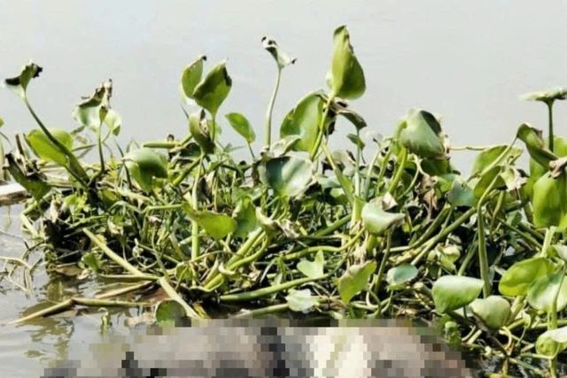 thi-the-nam-thanh-nien-troi-song-o-tphcm