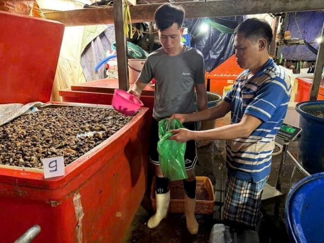 can-canh-co-so-ngam-oc-buou-bang-hoa-chat-2