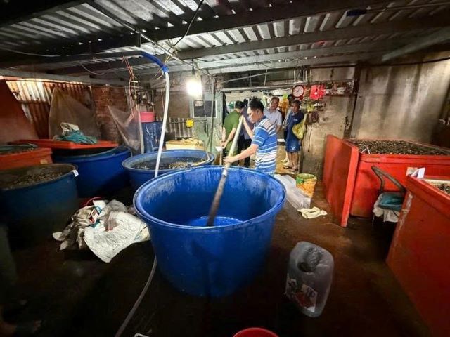 can-canh-co-so-ngam-oc-buou-bang-hoa-chat-3