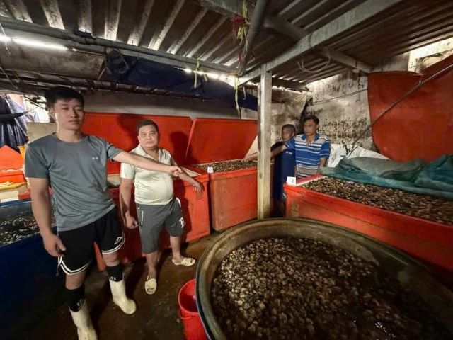 can-canh-co-so-ngam-oc-buou-bang-hoa-chat-4