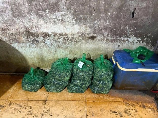 can-canh-co-so-ngam-oc-buou-bang-hoa-chat-5