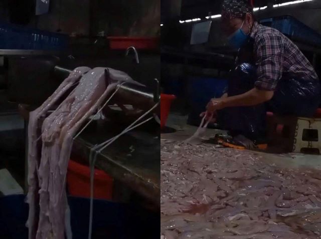 co-so-che-bien-long-lon-ban-o-bac-ninh-4