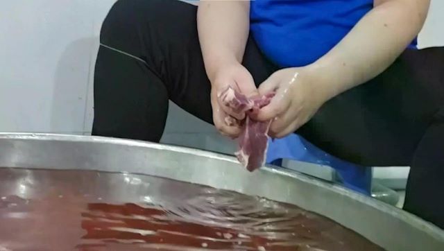 vu-nghi-van-thit-het-han-van-dung-nhieu-truong-tai-tp-hcm-tam-ngung-ban-tru