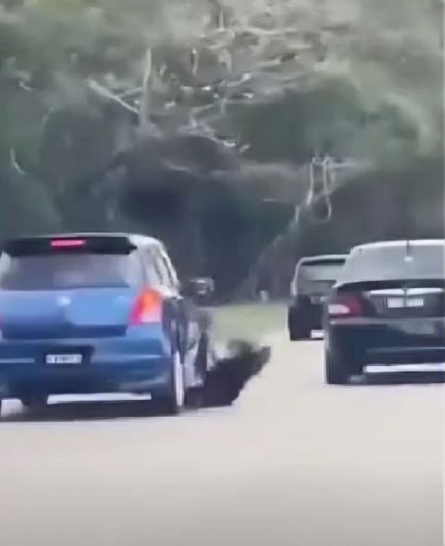 chong-cu-bam-xe-vo-cu