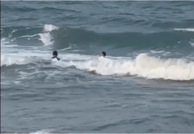 cuu-du-khach-chuot-rut-tam-bien