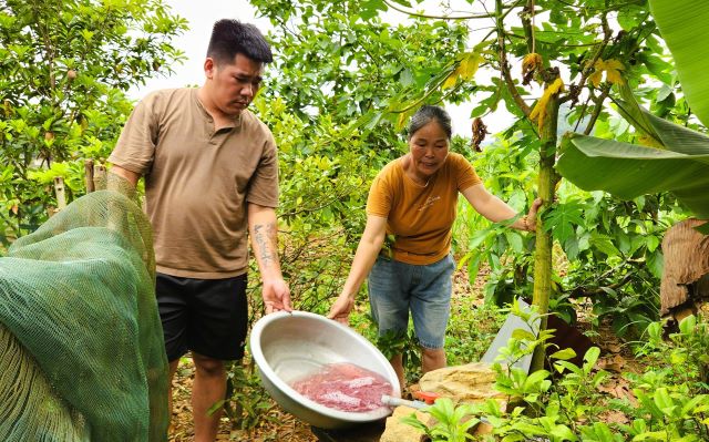 nuoc-sinh-hoat-doi-mau-bat-thuong
