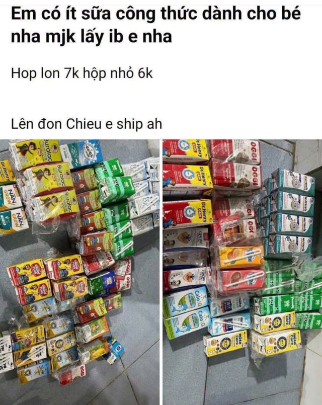 sua-tre-mam-non-rao-ban-2