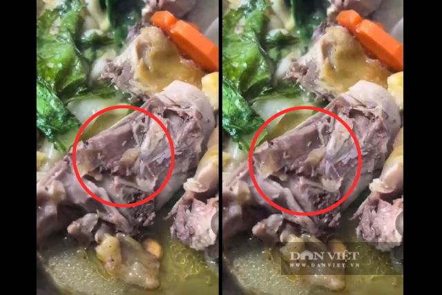 clip-doi-trong-mon-an-tiec-tan-gia-dak-lak