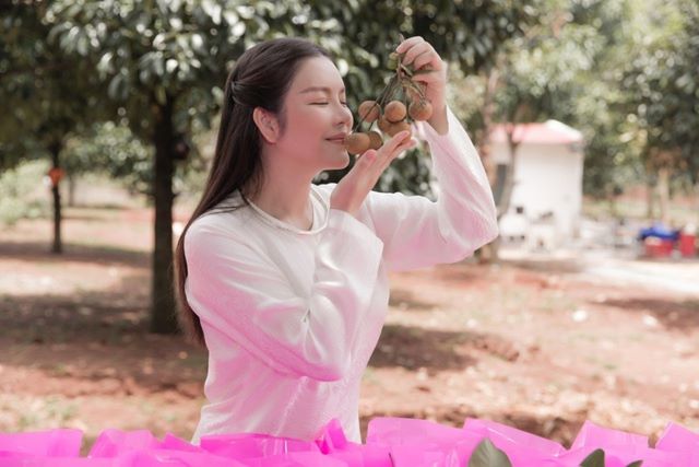 biet-phu-ly-nha-ky-7