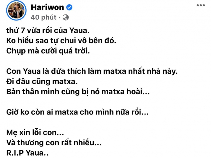 Hari-won-nghen-ngao-bao-tin-buon-me-xin-loi-con-va-thuong-con-rat-nhieu-cdm-xot-xa-dong-vien