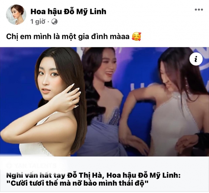 Do-my-linh-len-tieng-phan-tran-ve-viec-bat-nat-do-thi-ha-dan-mang-lac-dau-phan-doi