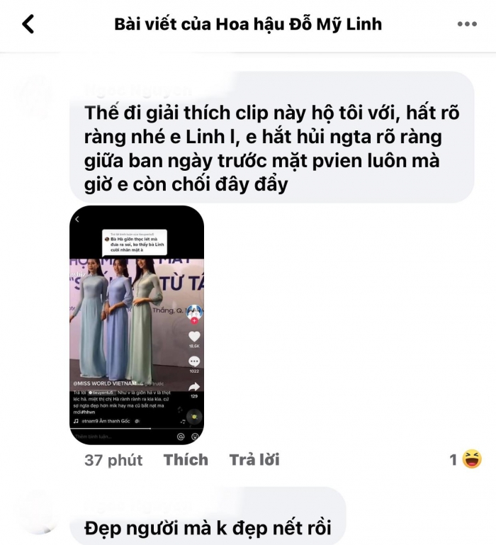 Do-my-linh-len-tieng-phan-tran-ve-viec-bat-nat-do-thi-ha-dan-mang-lac-dau-phan-doi-3