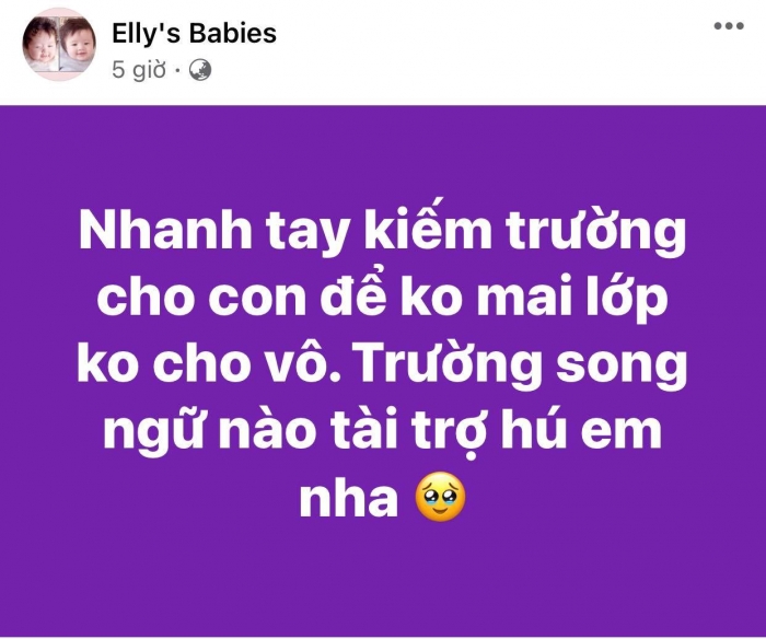 Netizen-nhiet-tinh-goi-y-khi-elly-tran-hoi-ve-truong-hoc-song-ngu-co-tai-tro