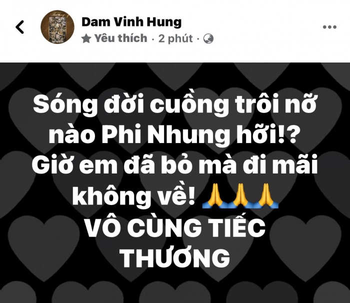Trung-tam-thuy-nga-colorman-truong-giang-dam-vinh-hung-dau-xot-noi-loi-tien-biet-phi-nhung-6