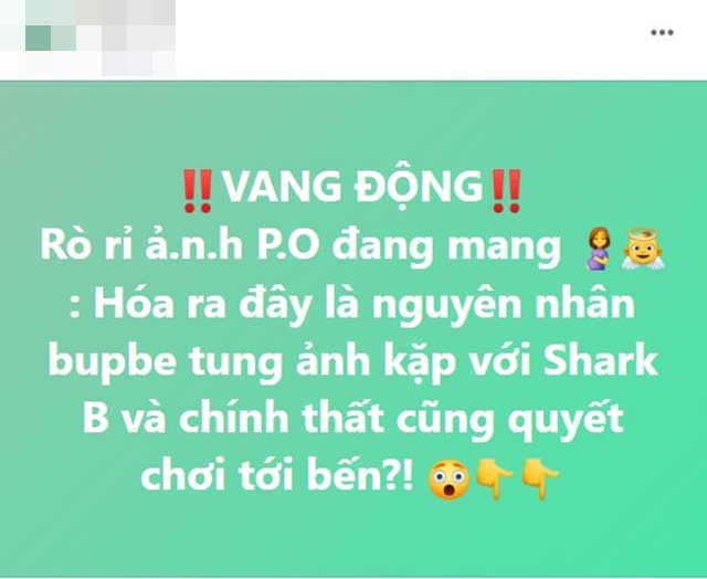 phuong-oanh-mang-bau