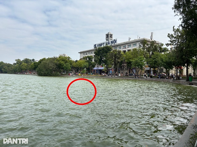 img5728jpg-1761658255742_11zon