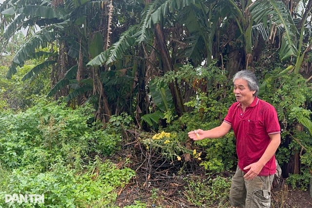 lo-dat-aoquang-ngaiquoc-trieu-2jpg-1766301459731_11zon