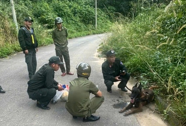 edit-233870467828670399-1766654322067244896216_11zon