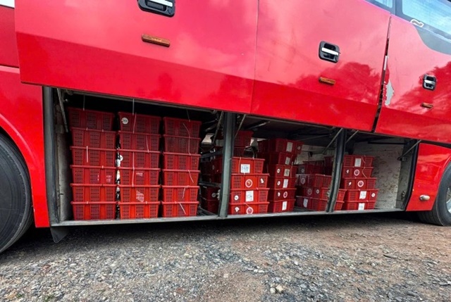 ra-ho-mang-1-1766567680-5214-1766567751_11zon