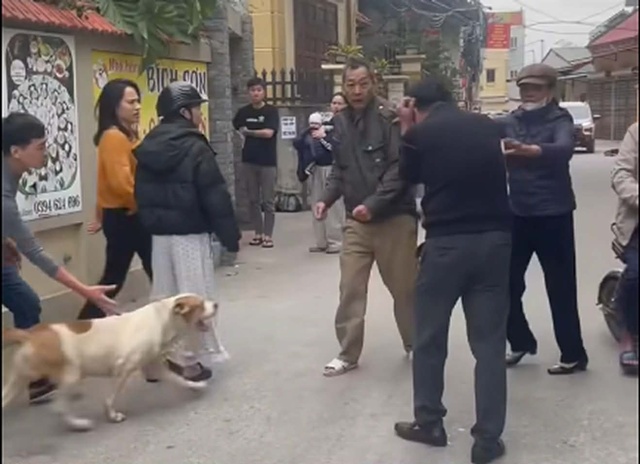 603918078927013736556290769675798452957356n-1766752950749-1766752952112483564579_11zon